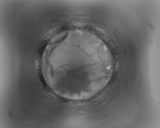 X0000116451397201001051215