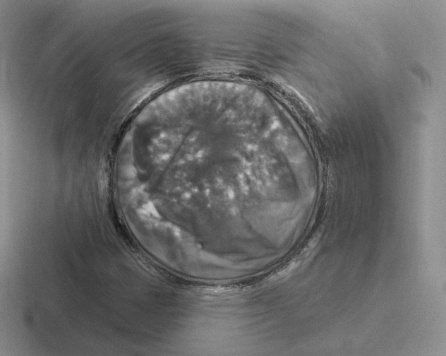X0000116451401201001051215