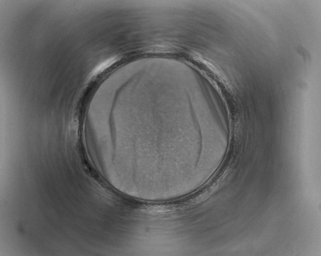 X0000116451402201001051215