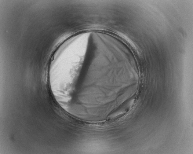 X0000116451413201001051215