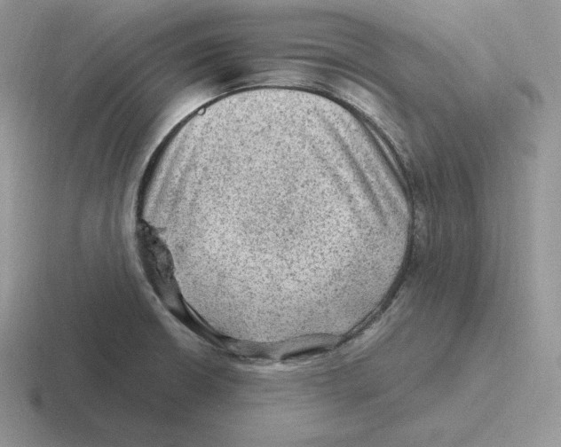 X0000116451426201001051215