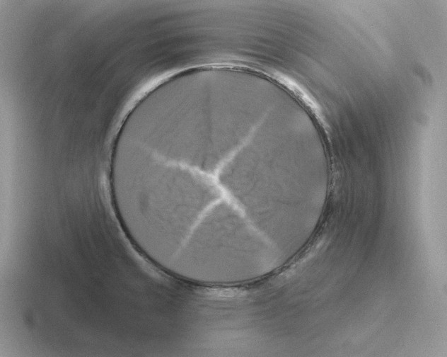 X0000116451429201001051215