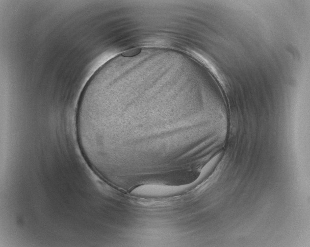 X0000116451434201001051216