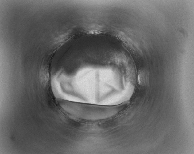X0000116451444201001051215
