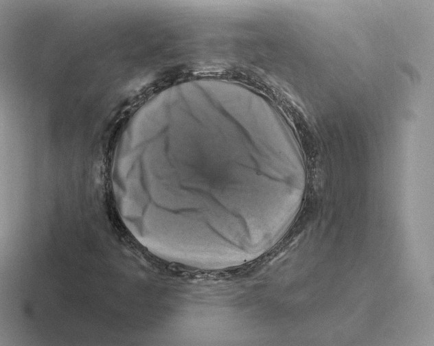 X0000116451445201001051215