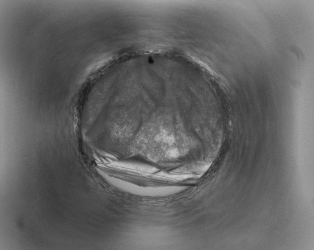 X0000116451447201001051215