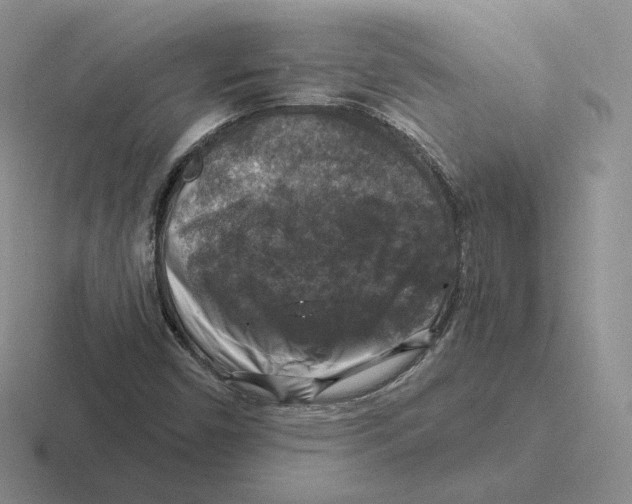 X0000116451450201001051215