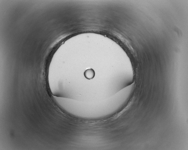 X0000116451453201001051215