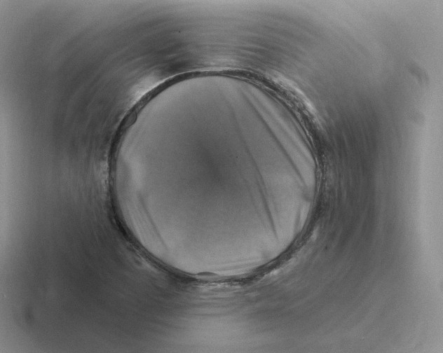 X0000116451457201001051215