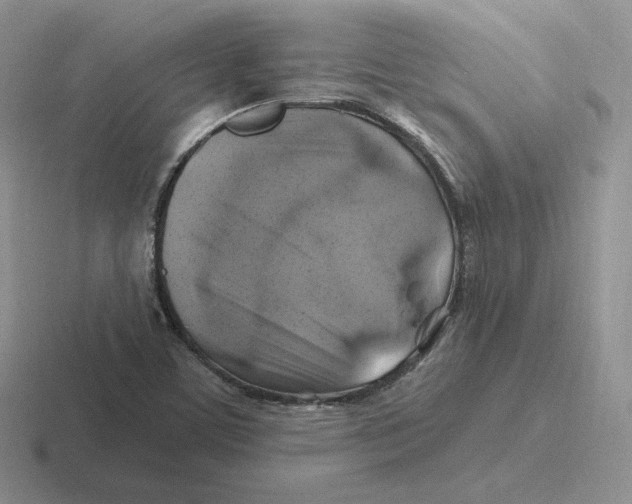 X0000116451459201001051215