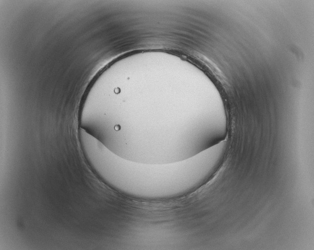 X0000116451465201001051215