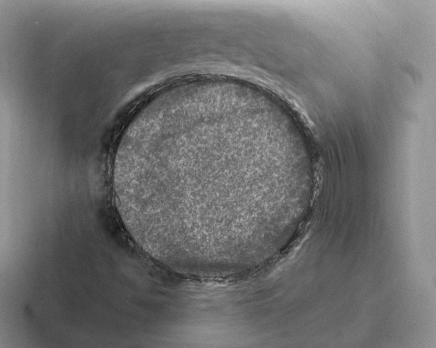 X0000116451494201001051214