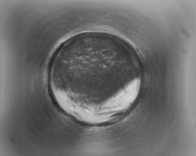 X0000116451506201001051214