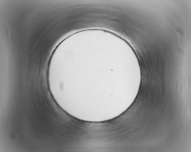 X0000116451534201001051214