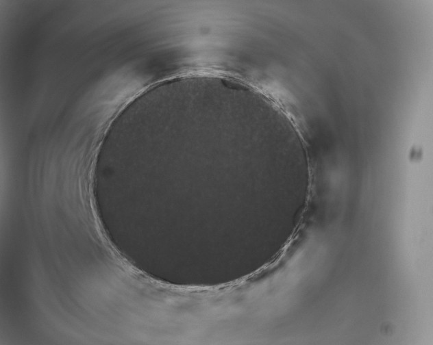 X0000116450001201001191602