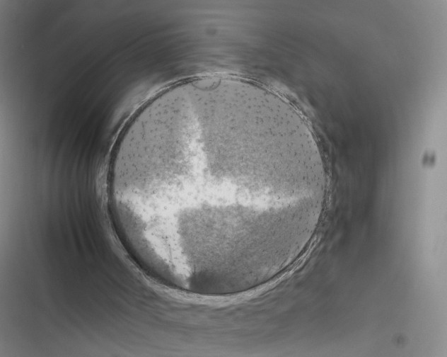 X0000116450002201001191602