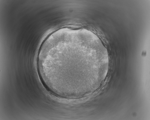 X0000116450003201001191602