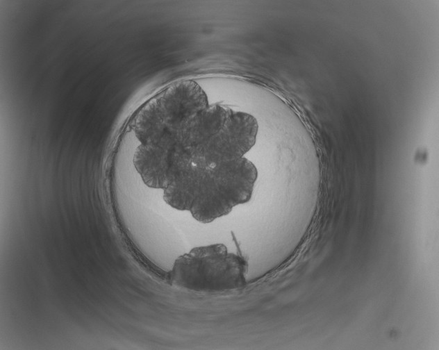 X0000116450004201001191602