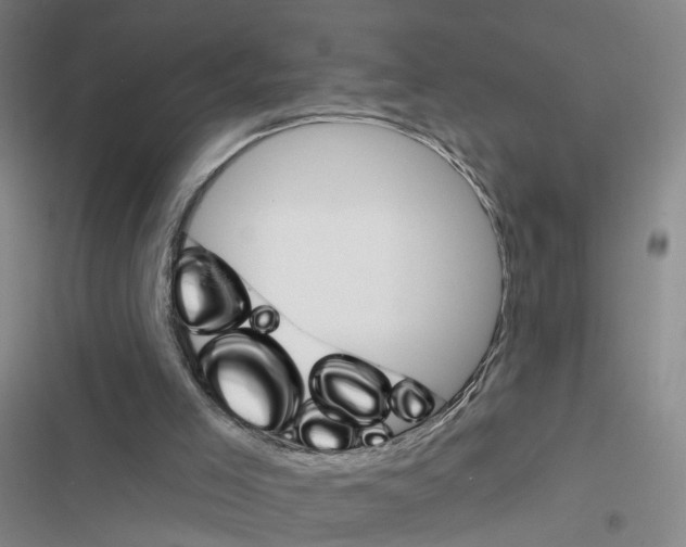 X0000116450005201001191602