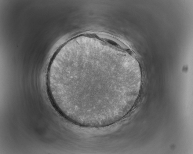 X0000116450007201001191602