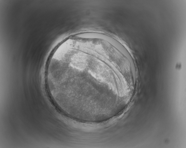 X0000116450008201001191602