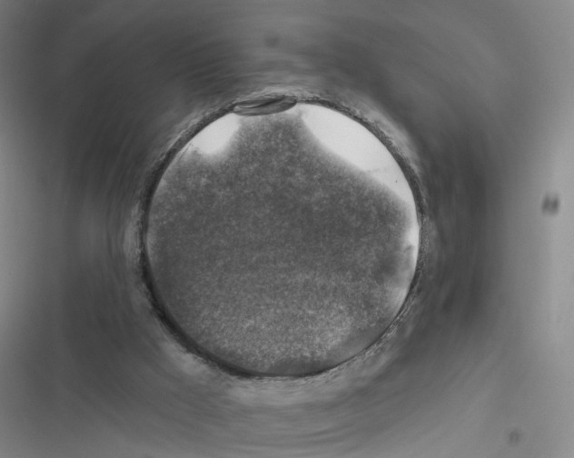 X0000116450009201001191602