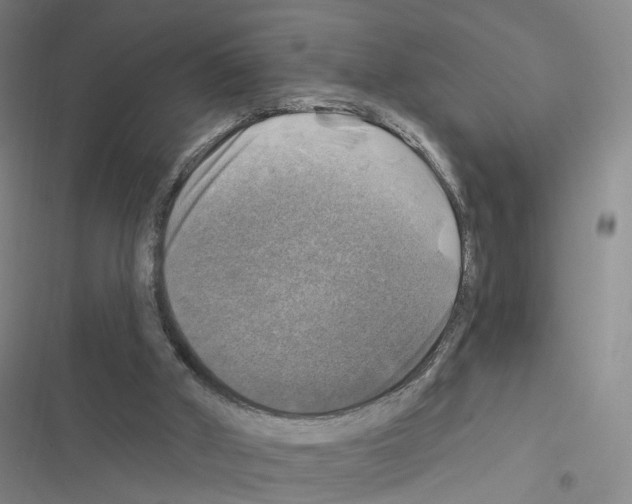 X0000116450010201001191602