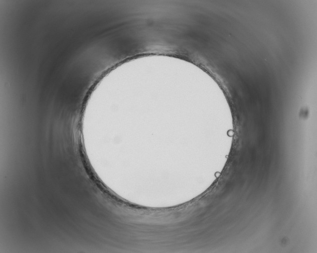 X0000116450011201001191602