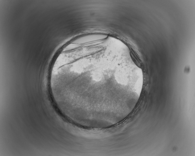 X0000116450012201001191602