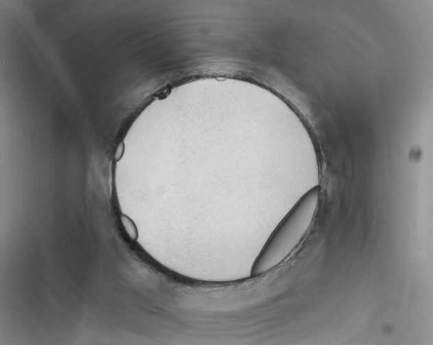 X0000116450013201001191602