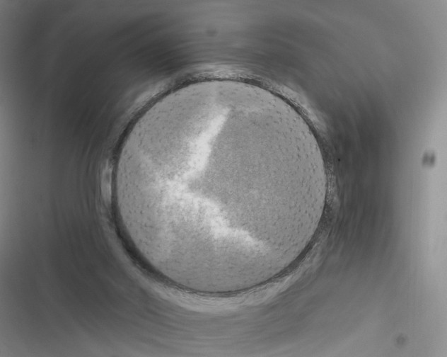 X0000116450014201001191602