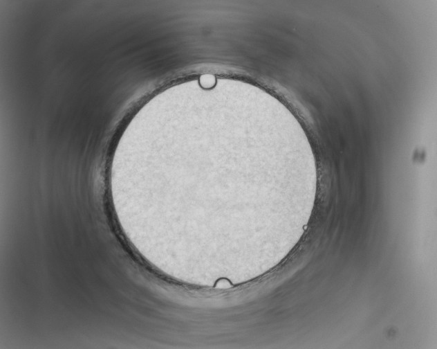 X0000116450015201001191602