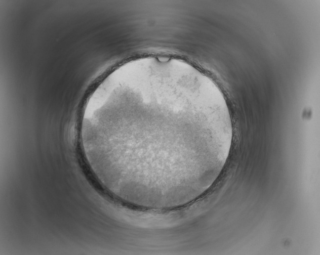 X0000116450016201001191602