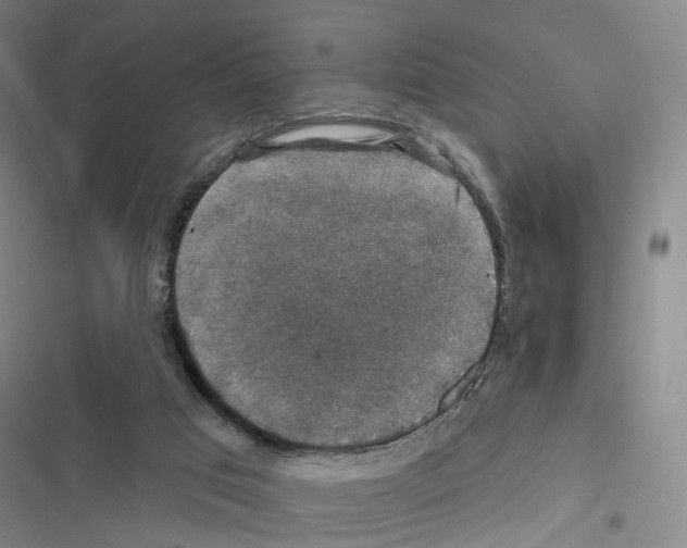 X0000116450017201001191602