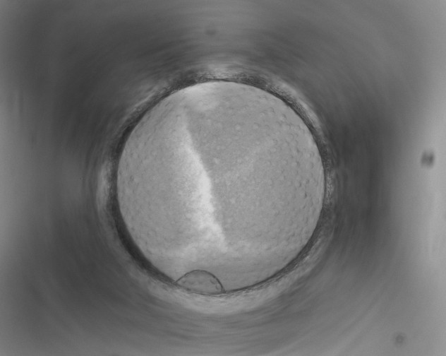 X0000116450018201001191602