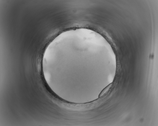 X0000116450019201001191602