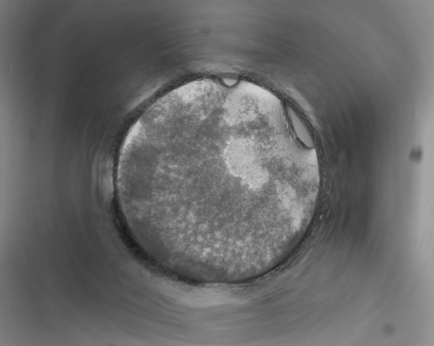 X0000116450020201001191602