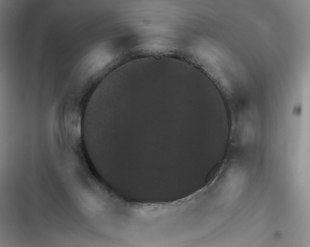 X0000116450021201001191602
