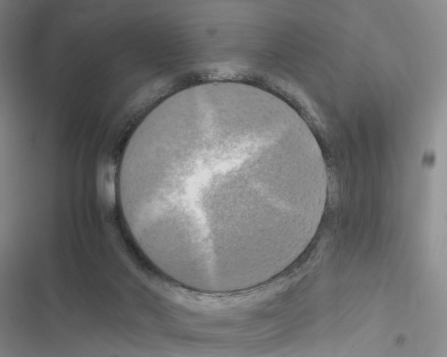 X0000116450022201001191602