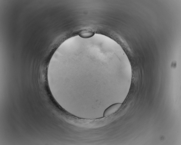 X0000116450023201001191602