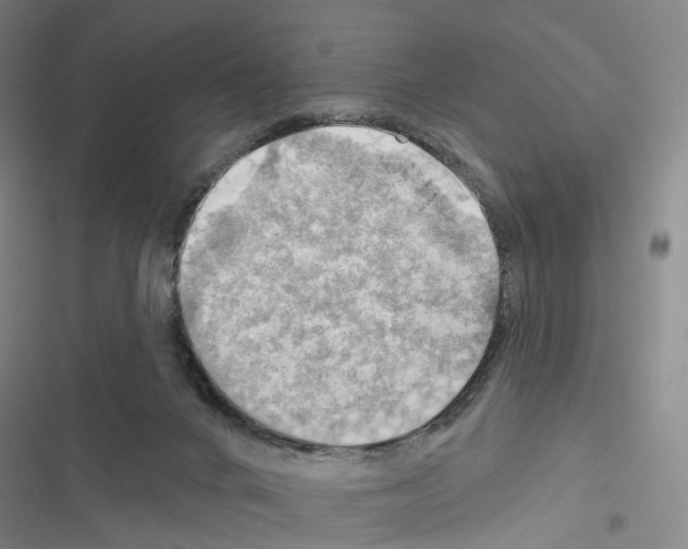 X0000116450024201001191602