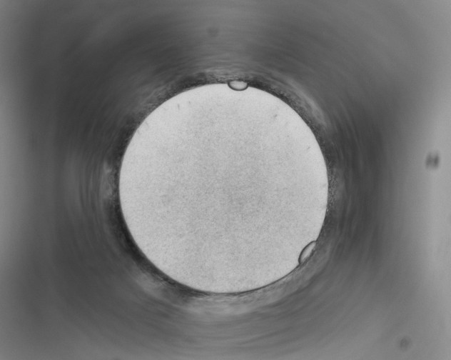 X0000116450025201001191602