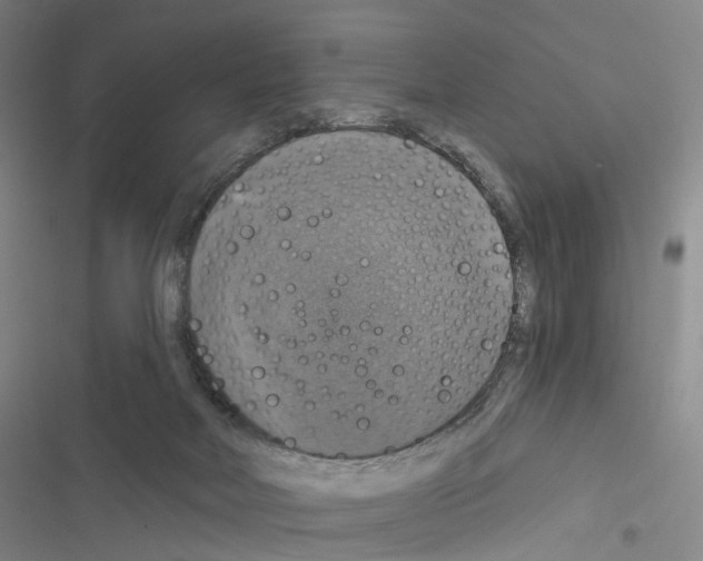 X0000116450026201001191602