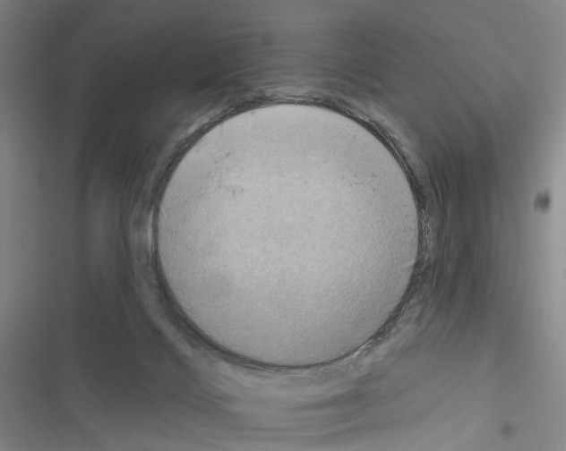 X0000116450028201001191602
