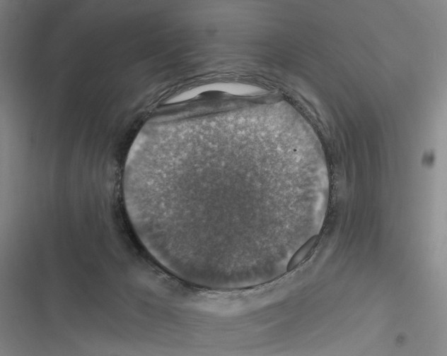 X0000116450029201001191602