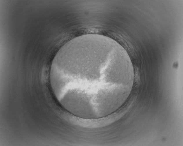 X0000116450030201001191602
