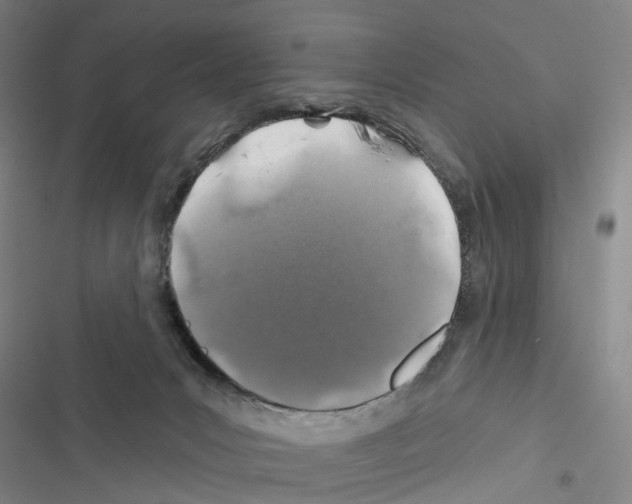 X0000116450031201001191602
