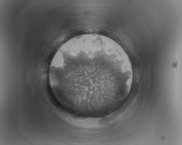 X0000116450032201001191602