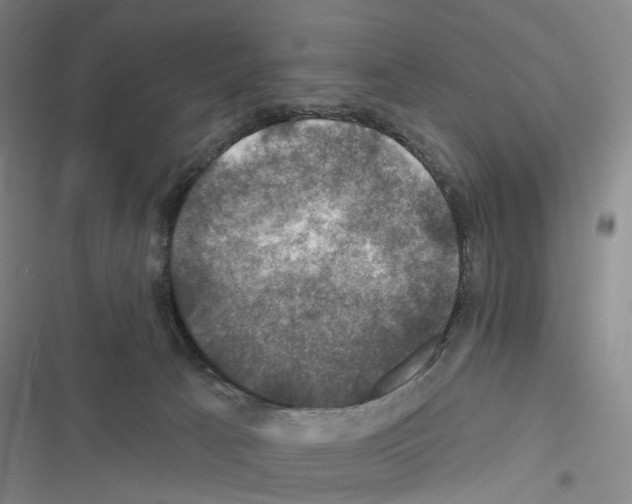 X0000116450033201001191602