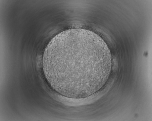 X0000116450034201001191602